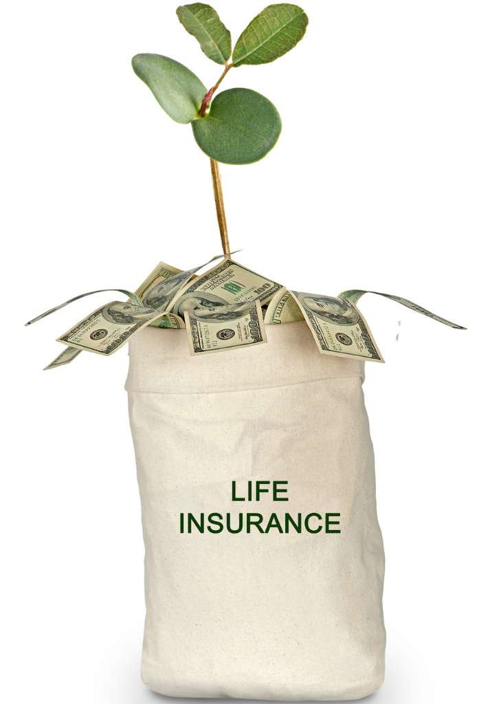 A Pragmatic View On Life Insurance | Prof. Stacy, The Money Teacher