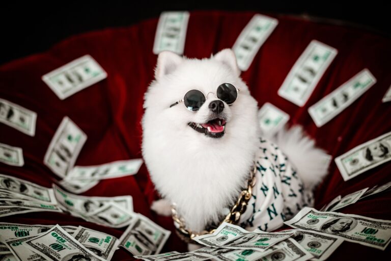 The True Cost of a Pet (From Someone Who Paid for Her Vet's Sports Car) | Prof. Stacy, The Money Teacher